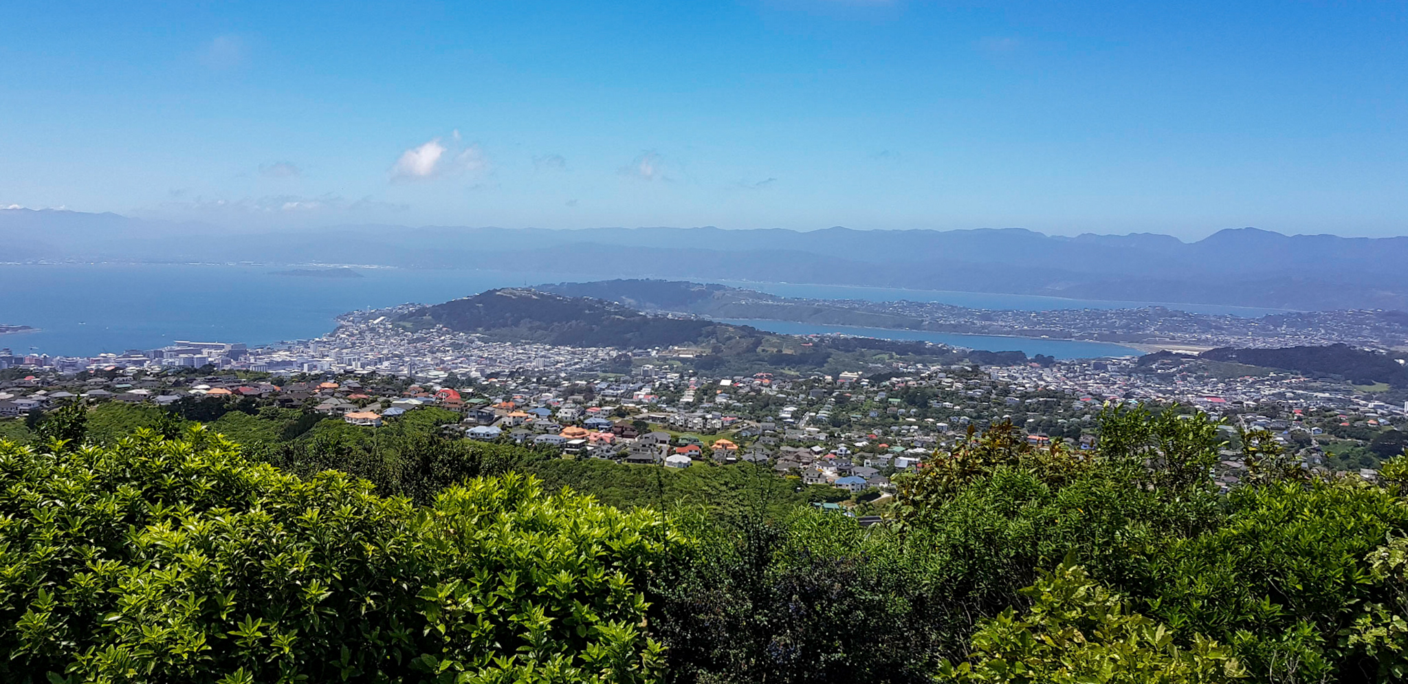 Aussicht vom Windkraftwerk in Wellington