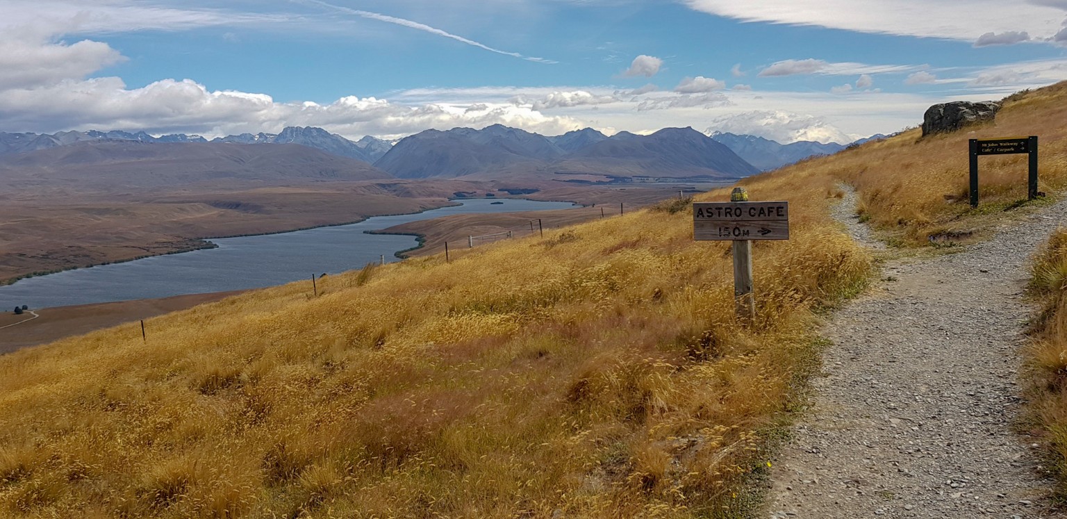 Weg auf den Mount John in Tekapo