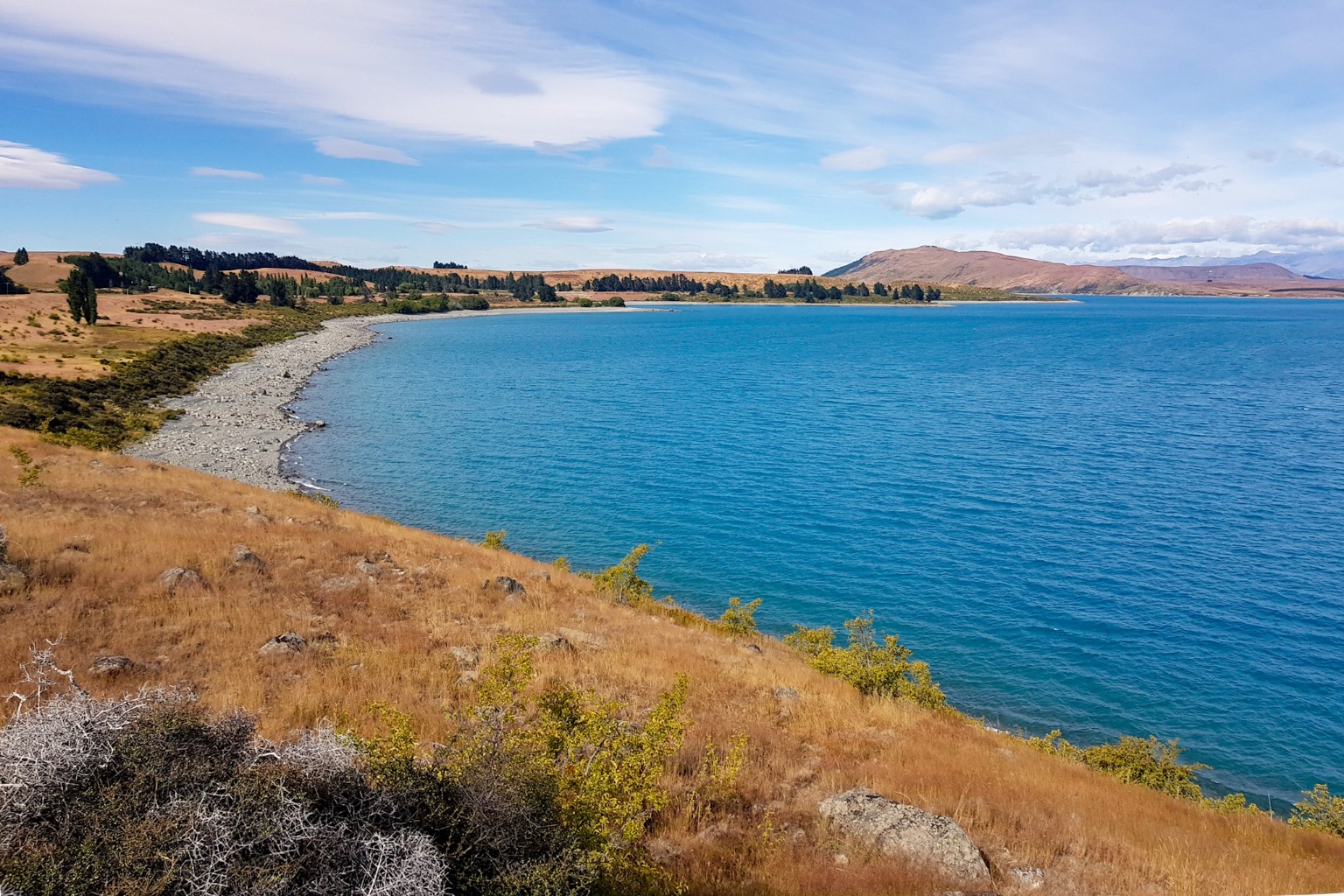 Seeufer des Lake Tekapo